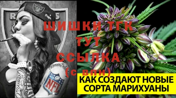 винт Киренск