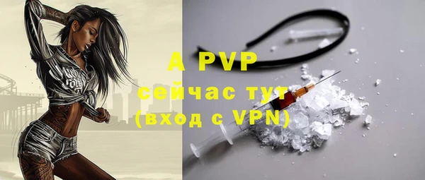 стаф Кинешма