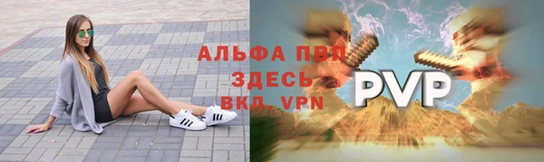 стаф Кинешма