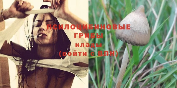 стаф Кинешма