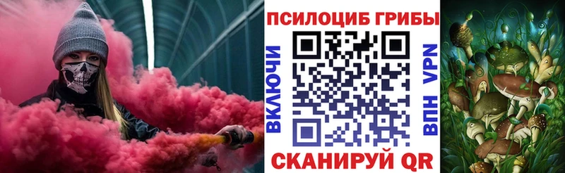 Купить закладки  Гагарин  Псилоцибиновые грибы мухоморы 